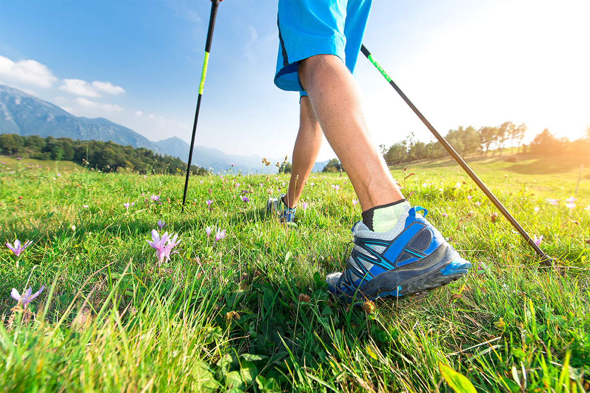 Walk in the meadow with spring flowers with Nordic walking poles